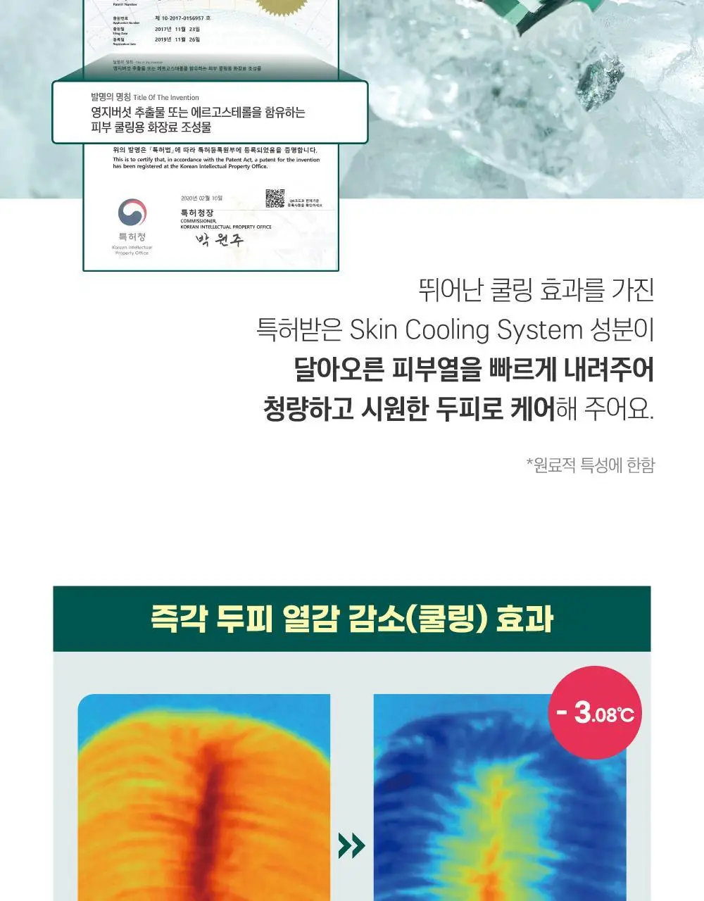 [소취케어] 라운드랩 소나무 진정 시카 두피 토닉 100ml 기획(+샴푸 50ml) 상세페이지 14